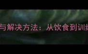 哈士奇饲养常见问题与解决方法从饮食到训练的全方位养护指南