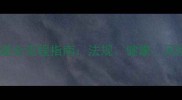 活体宠物狗快递全流程指南法规健康风险与合规操作