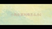 小狗在家叫唤怎么办