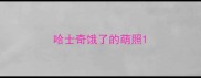 哈士奇饿了的萌照