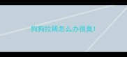 狗狗拉稀怎么办很臭