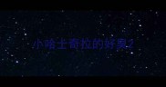 小哈士奇拉的好臭