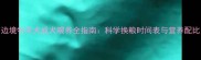 边境牧羊犬成犬喂养全指南科学换粮时间表与营养配比