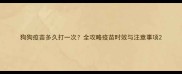 狗狗疫苗多久打一次全攻略疫苗时效与注意事项