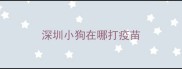 深圳小狗在哪打疫苗