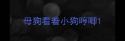 母狗看着小狗哼唧