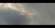 狼狗几个月算成犬