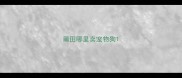 莆田哪里卖宠物狗