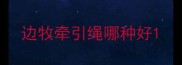 边牧牵引绳哪种好