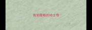 微笑瞪眼的哈士奇