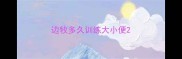 边牧多久训练大小便