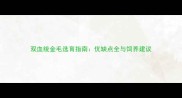 双血统金毛选育指南优缺点全与饲养建议