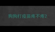 狗狗打疫苗疼不疼