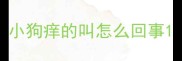 小狗痒的叫怎么回事
