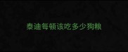 泰迪每顿该吃多少狗粮