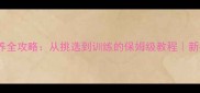 哈士奇饲养全攻略从挑选到训练的保姆级教程新手必看干货