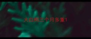 大白熊三个月多重