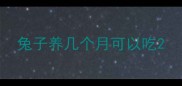 兔子养几个月可以吃