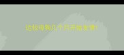 边牧母狗几个月开始发情