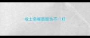 哈士奇嘴唇颜色不一样