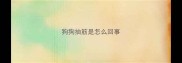 狗狗抽筋是怎么回事