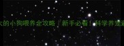 一个月大的小狗喂养全攻略新手必看科学养宠避免踩坑