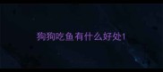 狗狗吃鱼有什么好处
