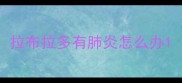 拉布拉多有肺炎怎么办