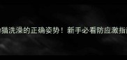 幼猫洗澡的正确姿势新手必看防应激指南