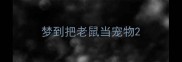 梦到把老鼠当宠物