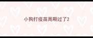 小狗打疫苗周期过了