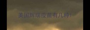 美国辉瑞疫苗有几种