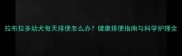 拉布拉多幼犬每天排便怎么办健康排便指南与科学护理全
