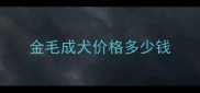 金毛成犬价格多少钱