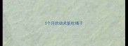 3个月的幼犬能吃橘子