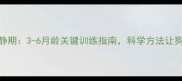 金毛幼犬安静期3-6月龄关键训练指南科学方法让狗狗安静乖巧