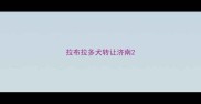 拉布拉多犬转让济南