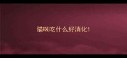 猫咪吃什么好消化