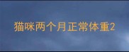 猫咪两个月正常体重