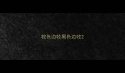 棕色边牧黑色边牧