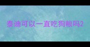 泰迪可以一直吃狗粮吗