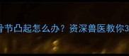 猫咪尾巴骨节凸起怎么办资深兽医教你3步排查隐患
