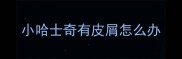 小哈士奇有皮屑怎么办