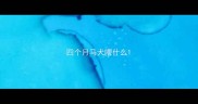 四个月马犬喂什么