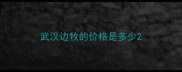 武汉边牧的价格是多少
