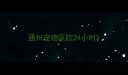 通州宠物医院24小时