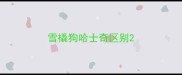 雪橇狗哈士奇区别