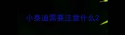 小泰迪需要注意什么