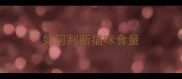 如何判断猫咪食量