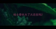 哈士奇长大了火还在吗